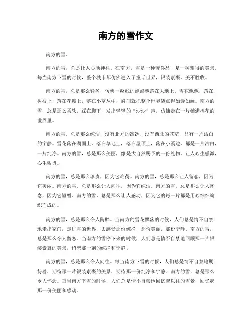 南方的雪作文