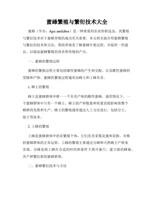 蜜蜂繁殖与繁衍技术大全