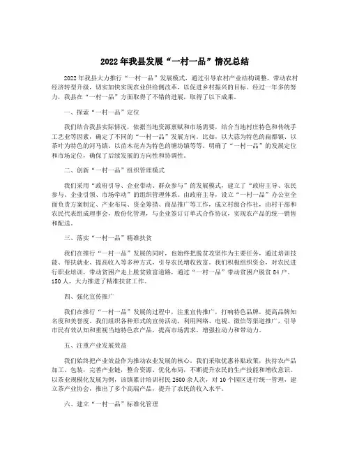 2022年我县发展“一村一品”情况总结