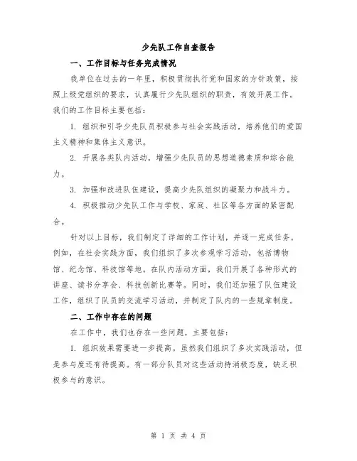 少先队工作自查报告