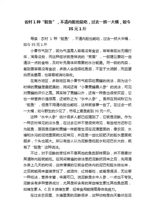 农村1种“脏鱼”，不清内脏也能吃，过去一抓一大桶，如今35元1斤