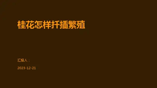 桂花怎样扦插繁殖