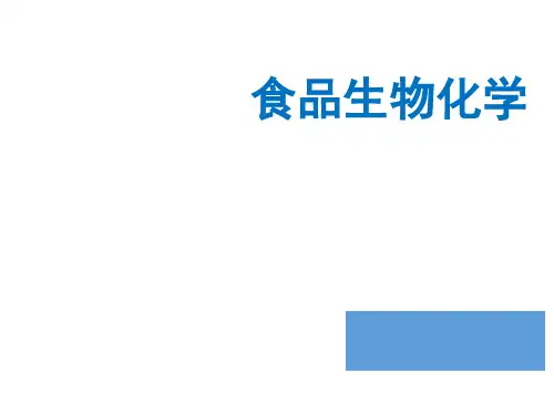教学课件 食品生物化学--杨玉红
