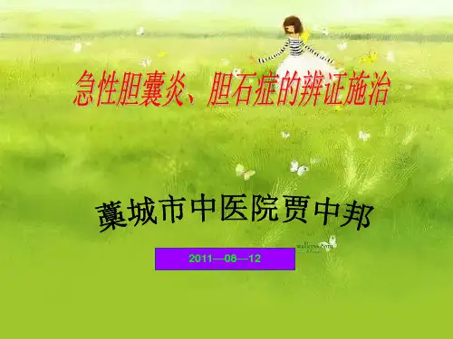 急性胆囊炎、胆石症的辨证施治