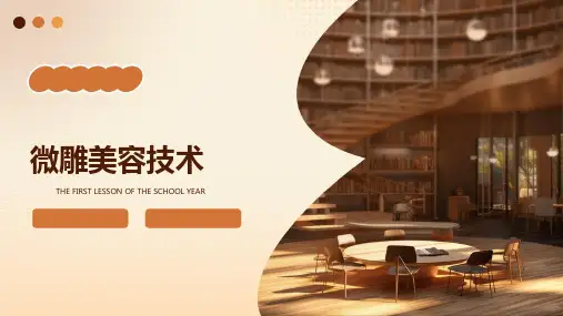 医美整形美容培训课件微雕美容技术