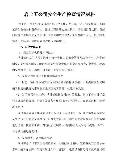 安全大检查自查报告