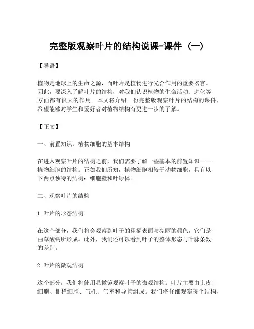 完整版观察叶片的结构说课-课件 (一)