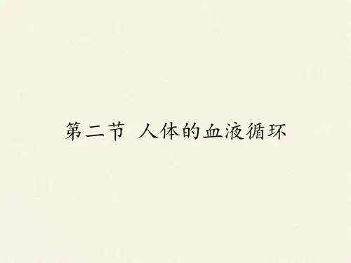 苏教版初中生物七年级下册课件-4.10.2 人体的血液循环7