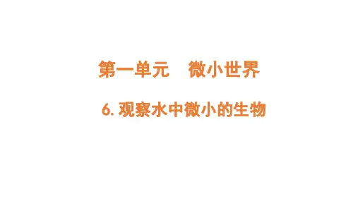 教科版小学六年级上册科学 第一单元 微小世界 6 观察水中微小的生物