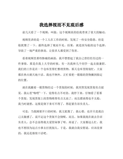 我选择视而不见观后感
