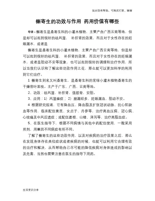 槲寄生的功效与作用 药用价值有哪些