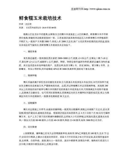 鲜食糯玉米栽培技术