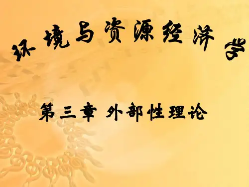 第三章 外部性理论(新)