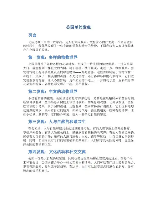 公园里的发现作文