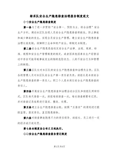 综采队安全生产隐患排查治理报告制度范文(2篇)