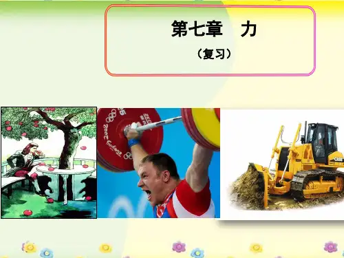 人教版八年级物理下册第七章力 复习 课件(共24张PPT)