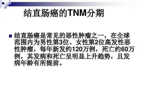 直肠癌TNM分期PPT课件