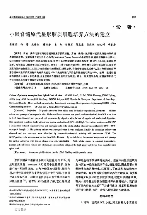 小鼠脊髓原代星形胶质细胞培养方法的建立
