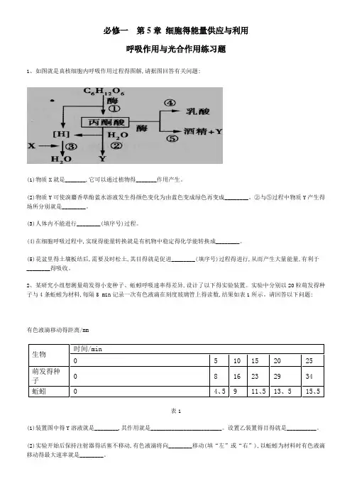 高一生物光合作用和呼吸作用练习题