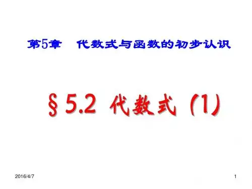青岛版七年级数学上册§5.2代数式(19张PPT)