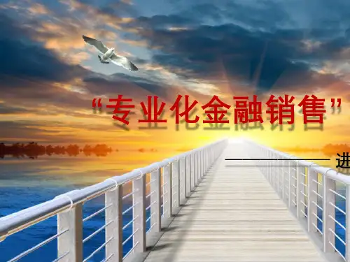 专业化金融销售流程(共79张PPT)