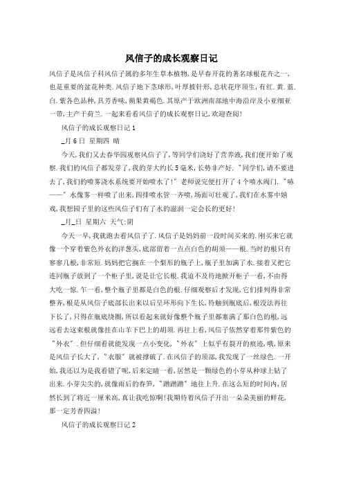 风信子的成长观察日记