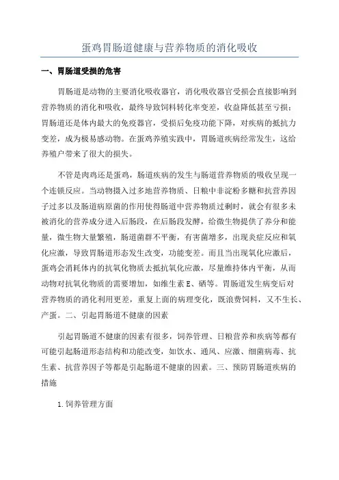 蛋鸡胃肠道健康与营养物质的消化吸收
