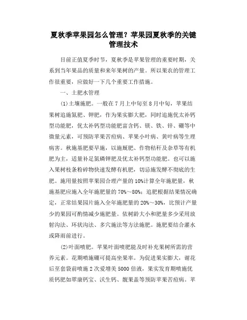 夏秋季苹果园怎么管理？苹果园夏秋季的关键管理技术