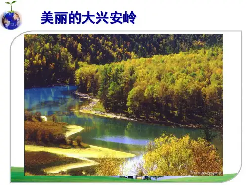 人教版必修三：生态系统的稳定性张优秀ppt课件