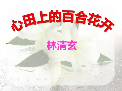 《心田上的百合花开》PPT课件