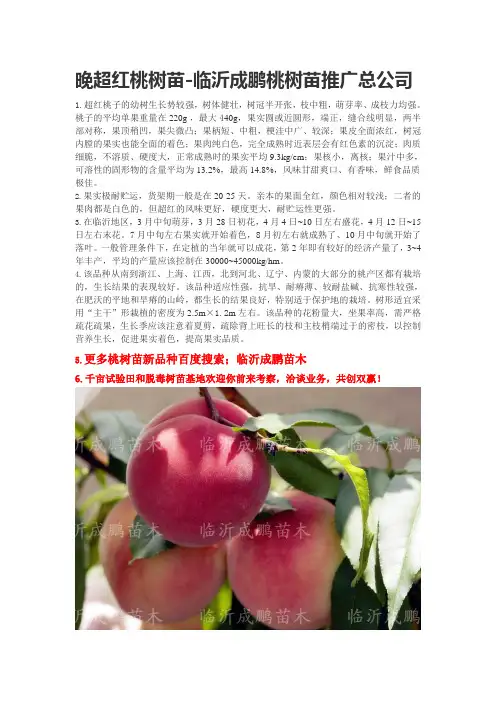 晚超红桃苗