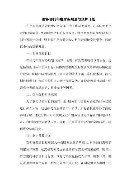 财务部门年度财务规划与预算计划