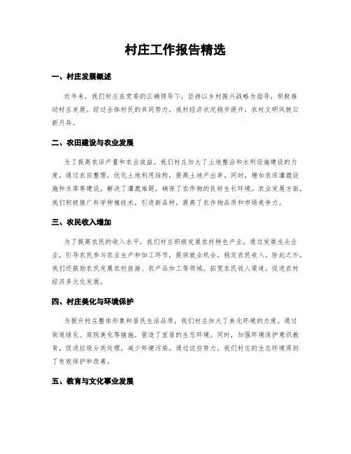 村庄工作报告精选
