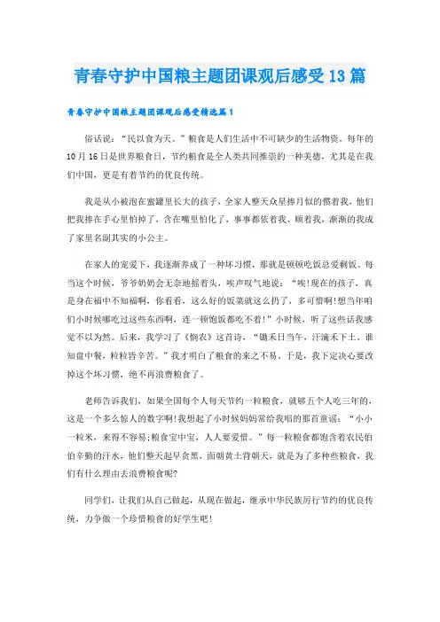 青春守护中国粮主题团课观后感受13篇