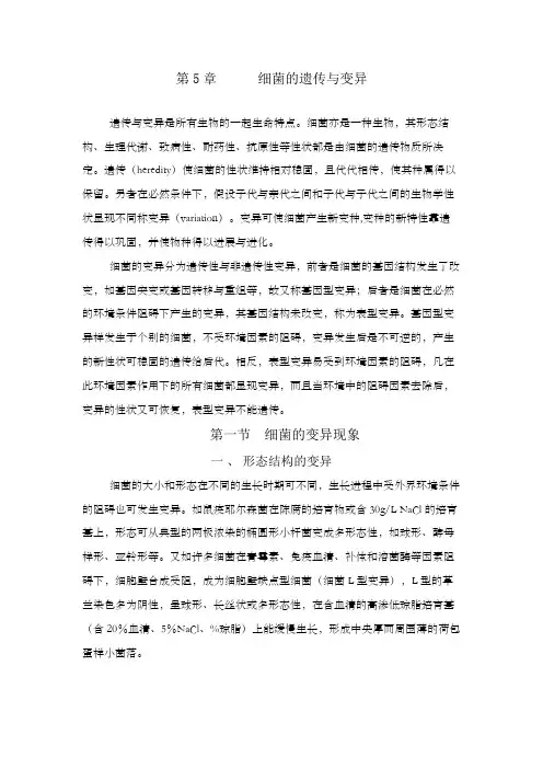 第五章细菌的遗传与变异
