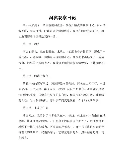 河流观察日记
