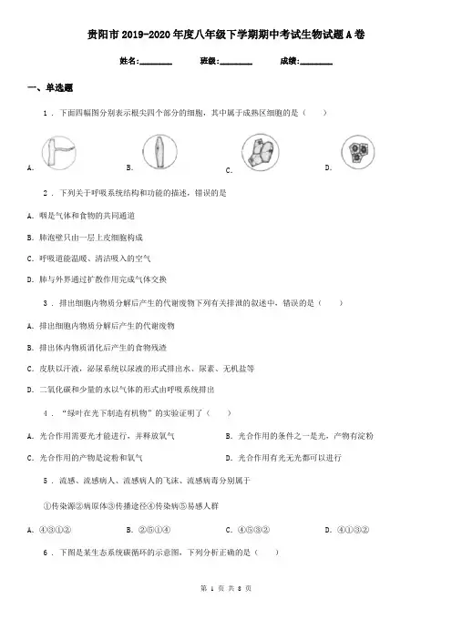 贵阳市2019-2020年度八年级下学期期中考试生物试题A卷