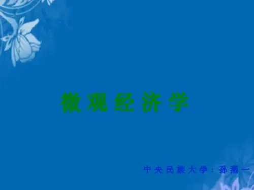 微观经济学之生产要素市场(ppt 89页)