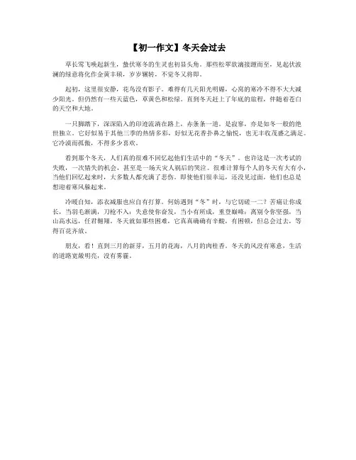 【初一作文】冬天会过去