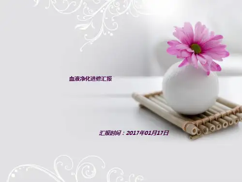 血透室进修汇报ppt课件