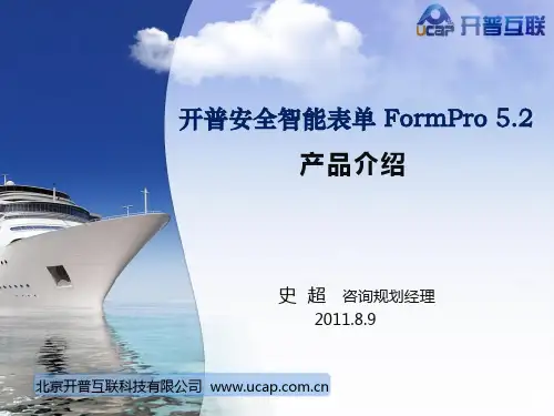 开普安全智能表单产品介绍formpro5.2
