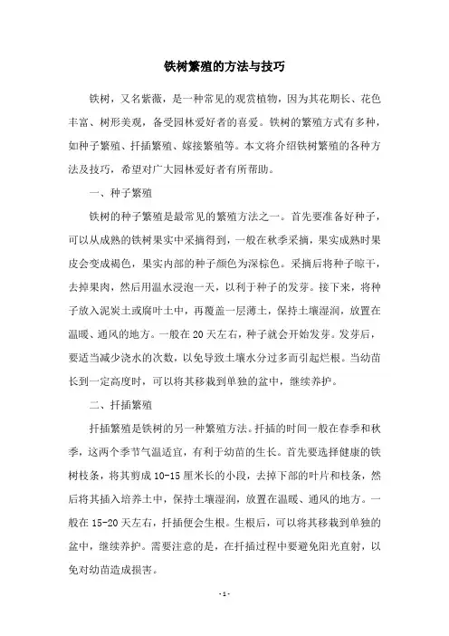 铁树繁殖的方法与技巧