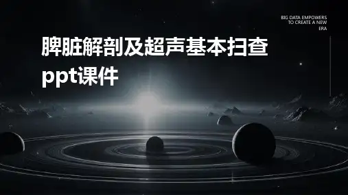 脾脏解剖及超声基本扫查PPT课件