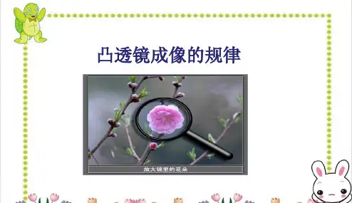 凸透镜成像的规律2PPT物理课件