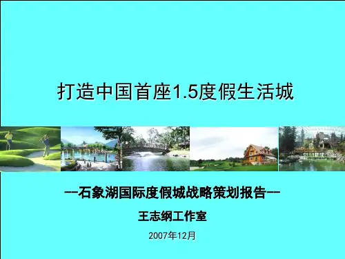 战略管理-石象湖战略策划报告 精品