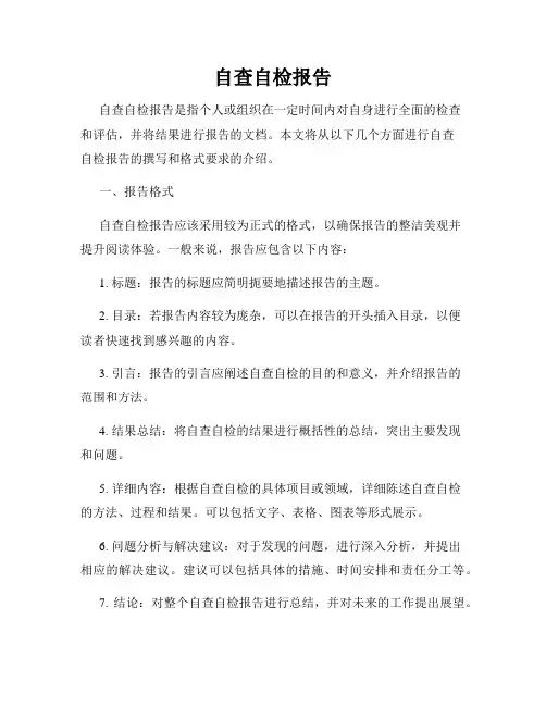 自查自检报告