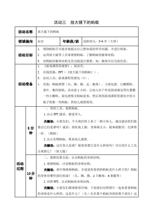 放大镜下的蚂蚁-1
