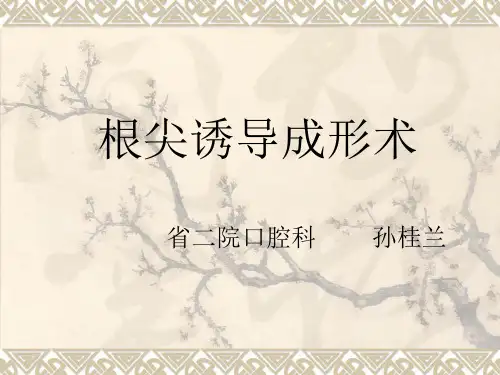 根尖诱导成形术汇总.