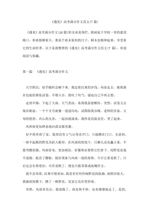 《遇见》高考满分作文范文(7篇)