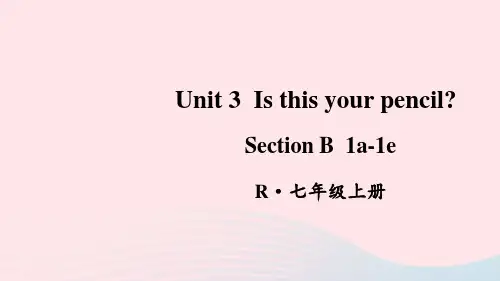 七年级英语上册 Unit 3 第3课时(Section B 1a-1e)